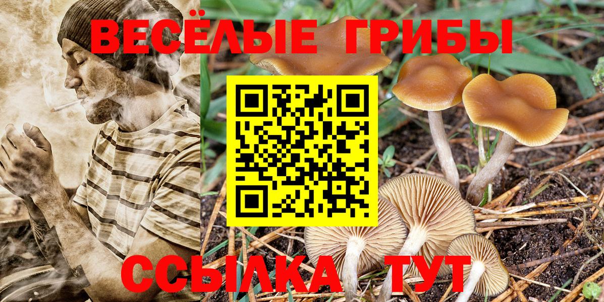 Луховицы  купить  сайты  Вход с VPN  Галлюциногенные грибы Psilocybine cubensis  Галлюциногенные грибы Magic Shrooms 