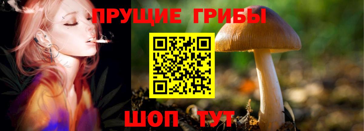 Галлюциногенные грибы Cubensis Луховицы