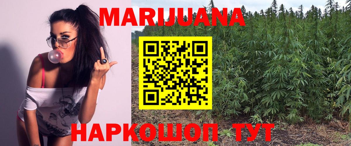 Конопля план Луховицы